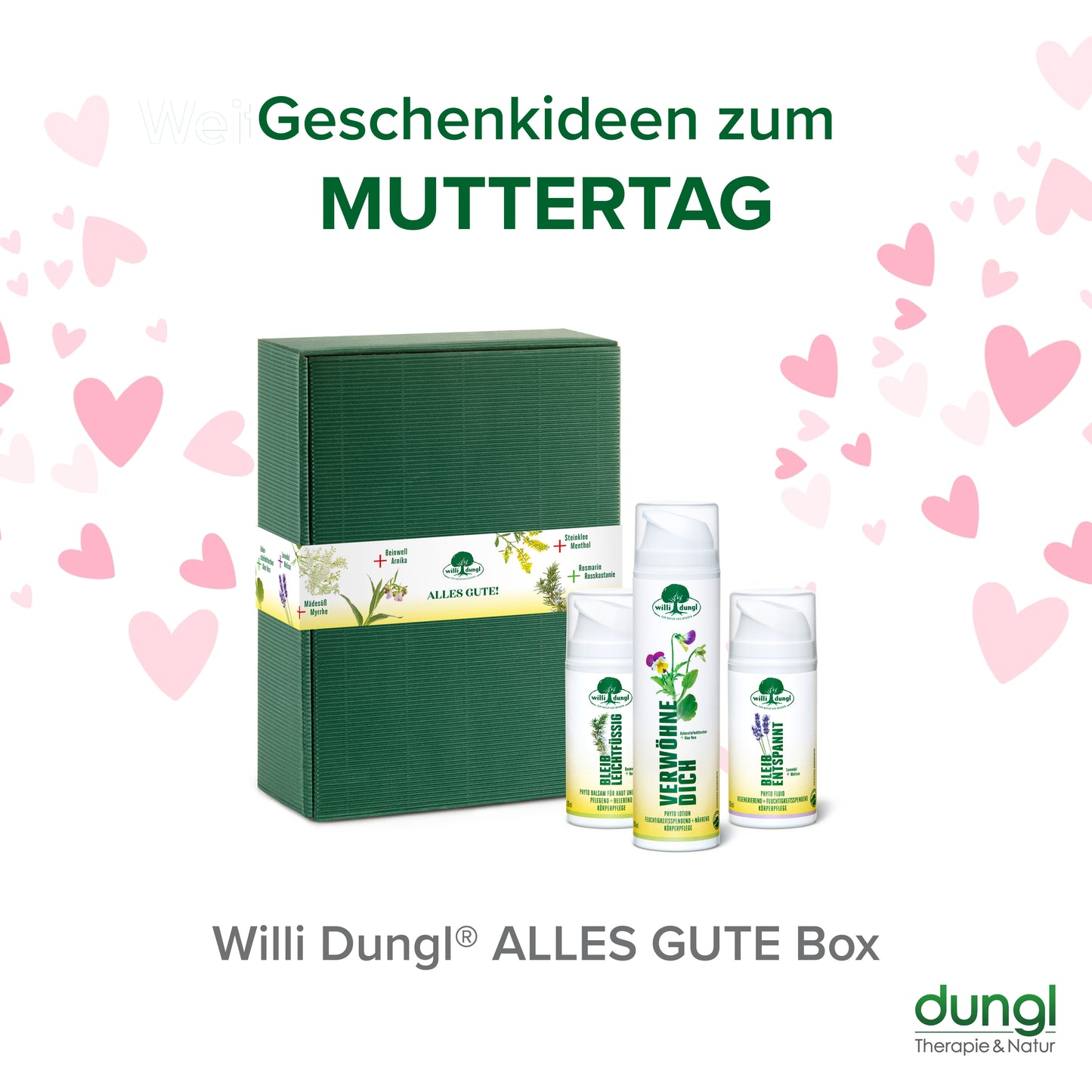 Willi Dungl® "ALLES GUTE" PHYTO-Box zum Verwöhnen